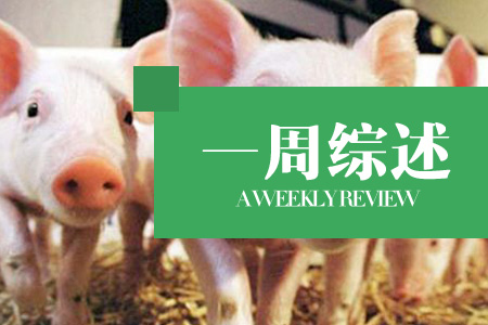节日利好提振有限，猪价冲高回落，市场多空交织！（第18周综述）