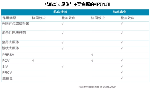 中国电子游艺网站下载安装
