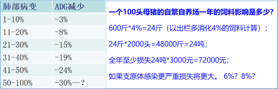 中国电子游艺网站下载安装
