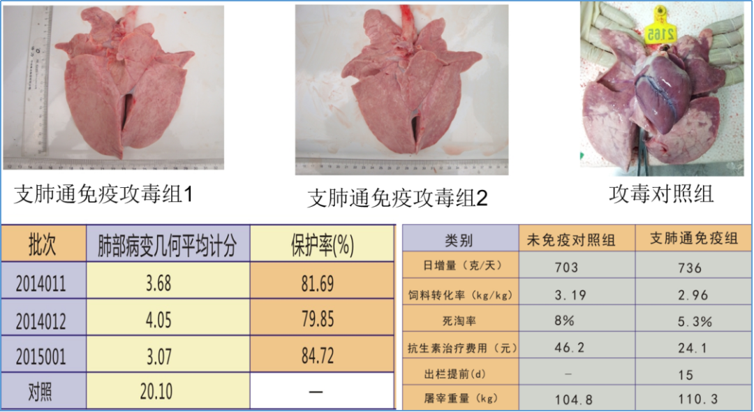 中国电子游艺网站下载安装

