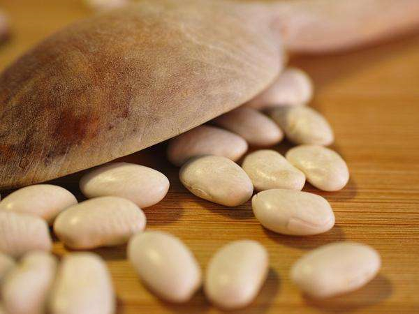 玉米小麦均有下跌趋势，饲料原料回落，养殖业或迎景气行情！