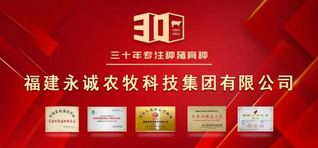 中国电子游艺网站下载安装
