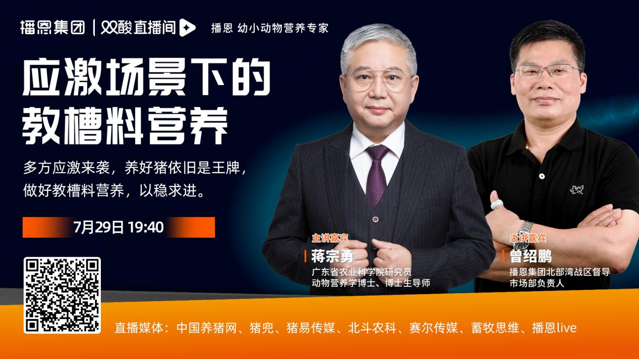 中国电子游艺网站下载安装