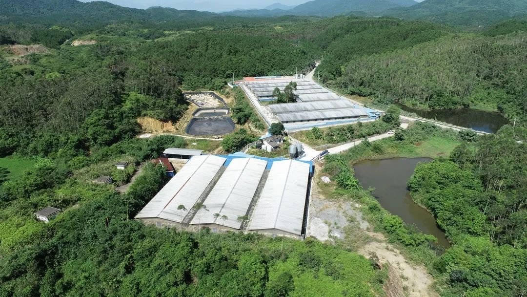 肉猪实现4个半月就出栏！400头规模电子游艺网站
老板成功“抄底”