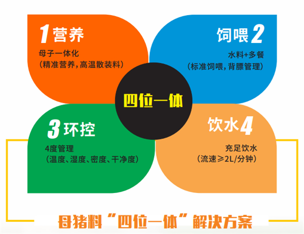 中国电子游艺网站下载安装
