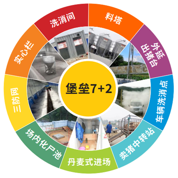 中国电子游艺网站下载安装
