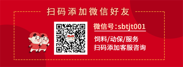 中国电子游艺网站下载安装
