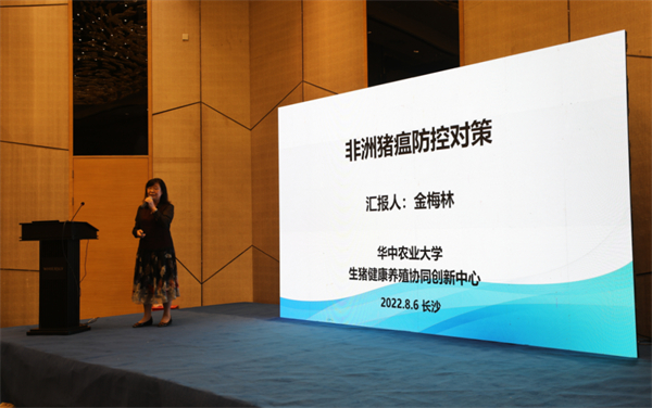 中国电子游艺网站下载安装
