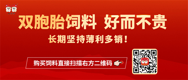 中国电子游艺网站下载安装
