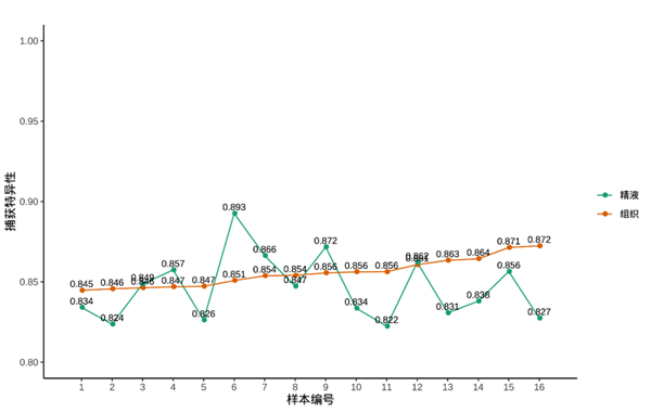 中国电子游艺网站下载安装
