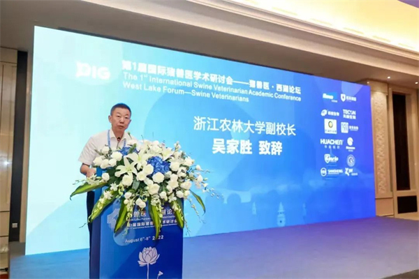 中国电子游艺网站下载安装

