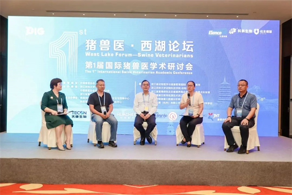 中国电子游艺网站下载安装
