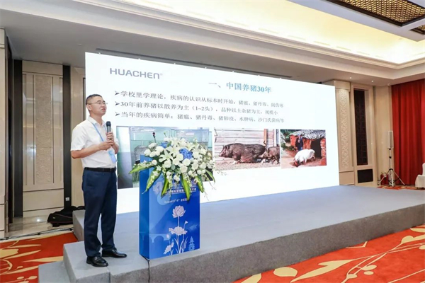 中国电子游艺网站下载安装

