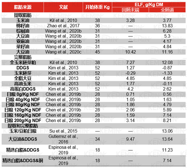 中国电子游艺网站下载安装