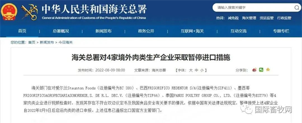 中国电子游艺网站下载安装
