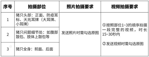 中国电子游艺网站下载安装
