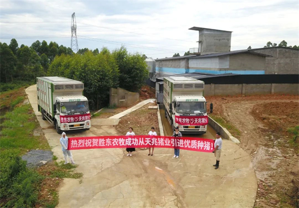 中国电子游艺网站下载安装
