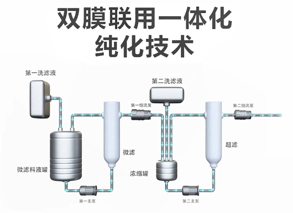 中国电子游艺网站下载安装
