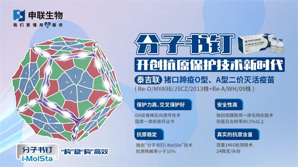 中国电子游艺网站下载安装

