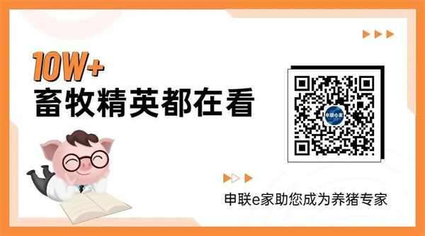 中国电子游艺网站下载安装
