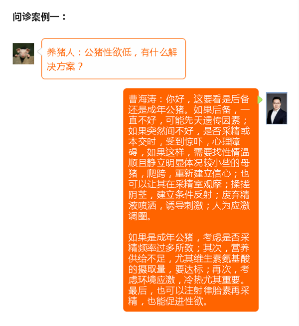 中国电子游艺网站下载安装

