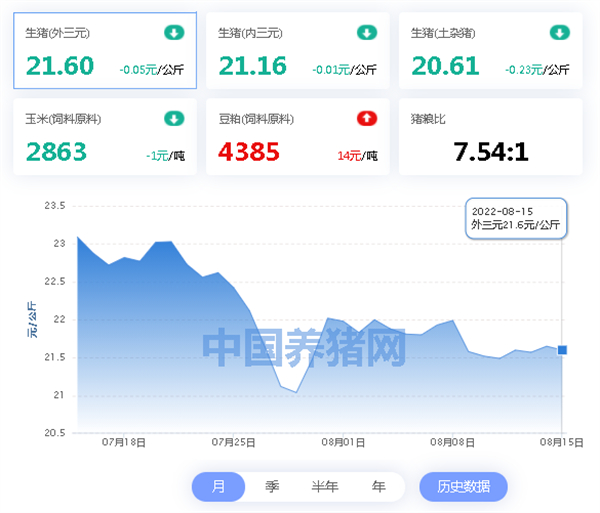 中国电子游艺网站下载安装