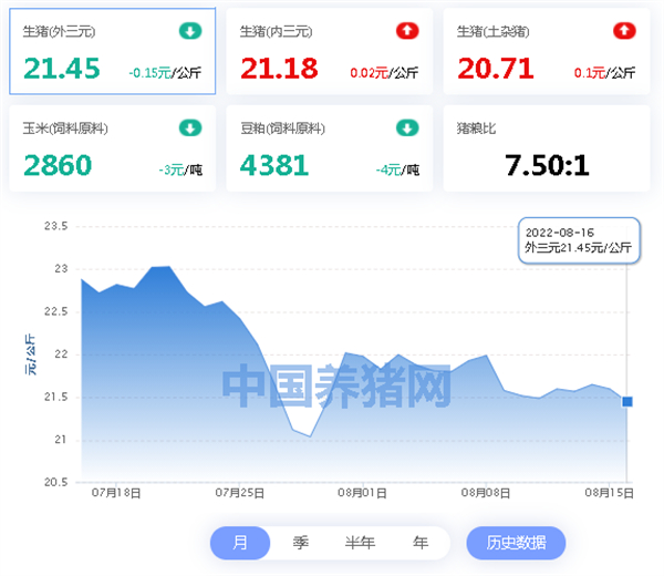 中国电子游艺网站下载安装