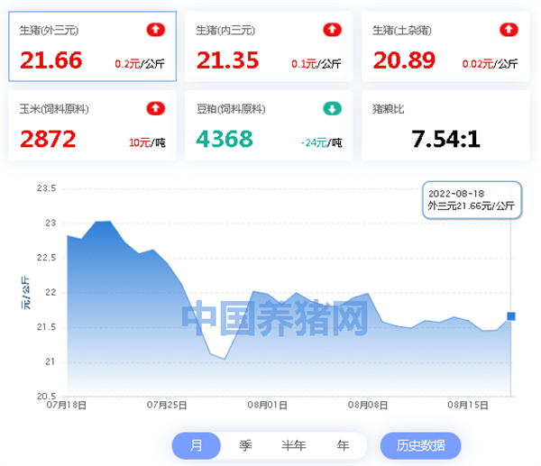中国电子游艺网站下载安装