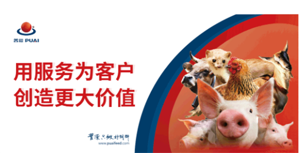 倾心“告白” ｜ 这些默默守护在你身边的普爱人，你注意到了吗？