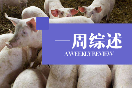 二育补栏情绪升温，猪市红火，猪周期拐点将至？（第20周综述）