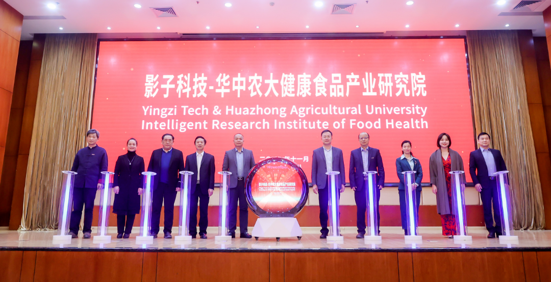 中国电子游艺网站下载安装
