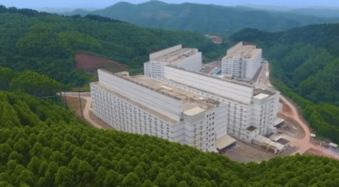 中国电子游艺网站下载安装

