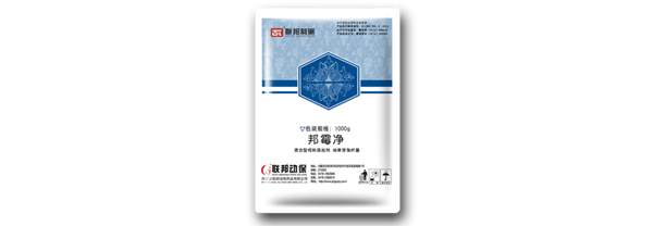 中国电子游艺网站下载安装
