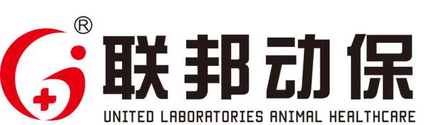 中国电子游艺网站下载安装
