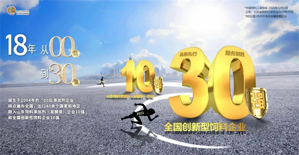 中国电子游艺网站下载安装
