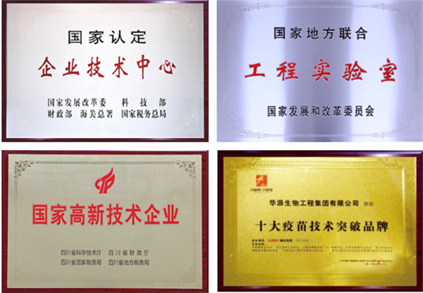 中国电子游艺网站下载安装
