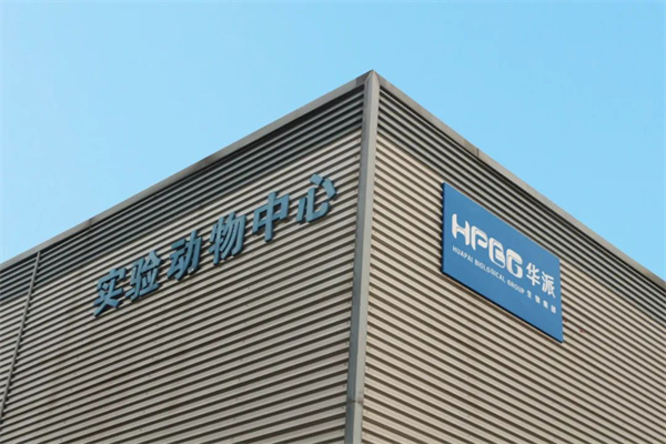 中国电子游艺网站下载安装

