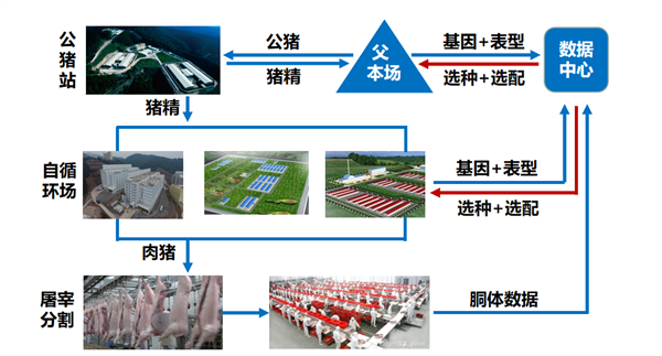 中国电子游艺网站下载安装