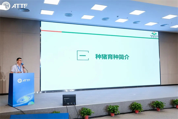 中国电子游艺网站下载安装