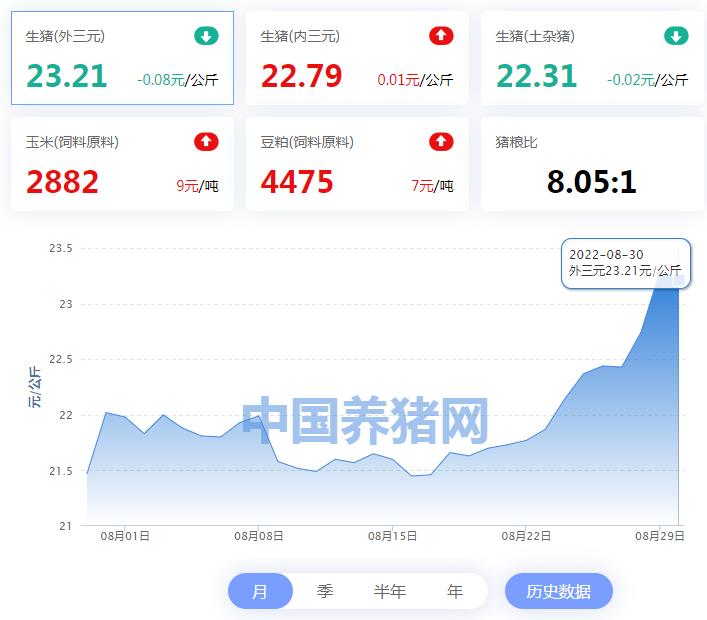 中国电子游艺网站下载安装
