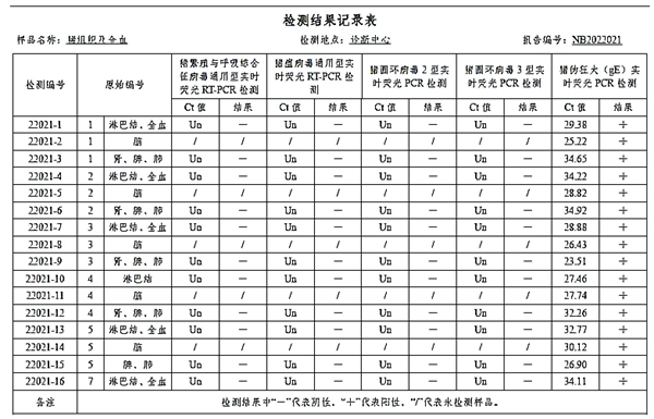 中国电子游艺网站下载安装