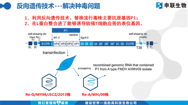 中国电子游艺网站下载安装
