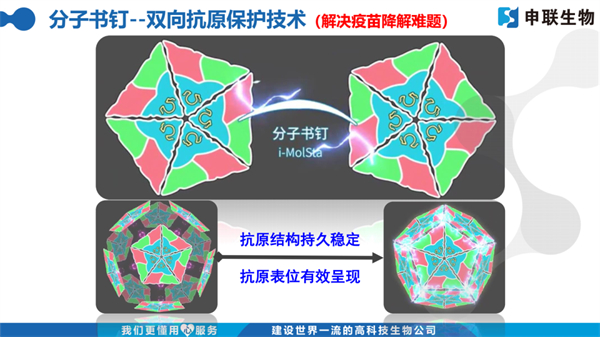 中国电子游艺网站下载安装
