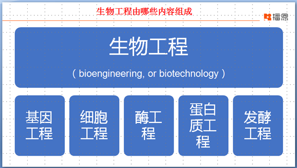 中国电子游艺网站下载安装

