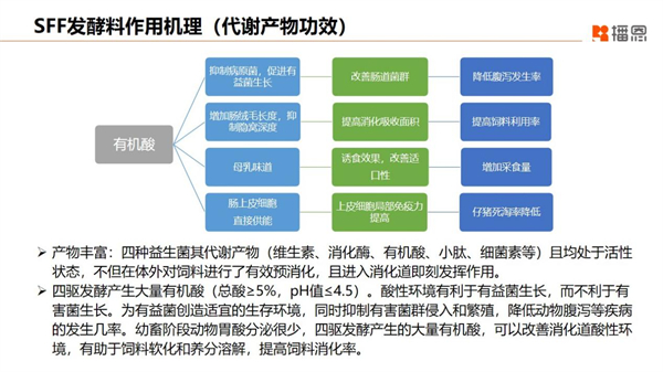 中国电子游艺网站下载安装
