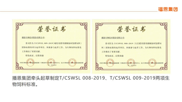 中国电子游艺网站下载安装
