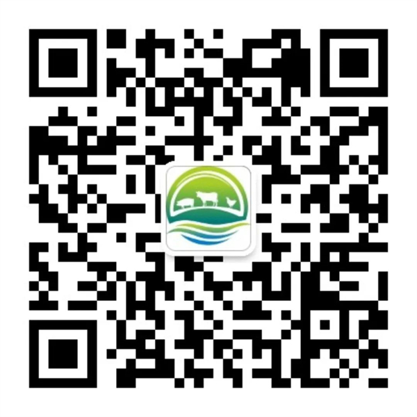 中国电子游艺网站下载安装
