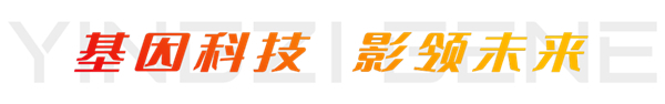 中国电子游艺网站下载安装
