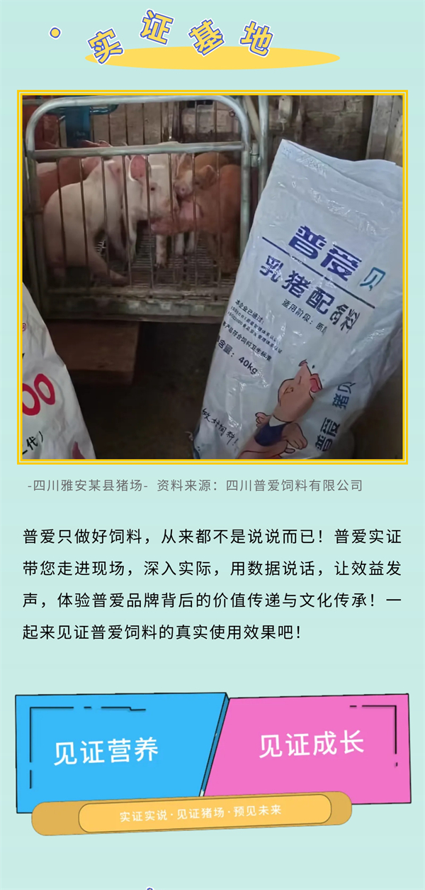 中国电子游艺网站下载安装
