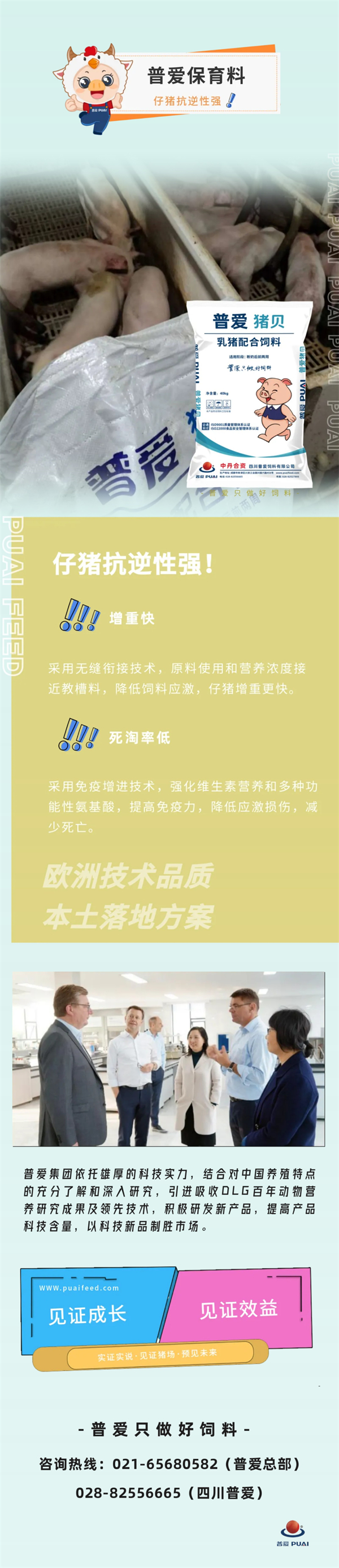 中国电子游艺网站下载安装
